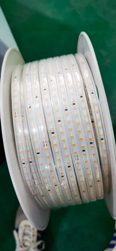 Outdoor Rope Light - Image 3