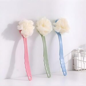 Bath back brush with a loofah sponge