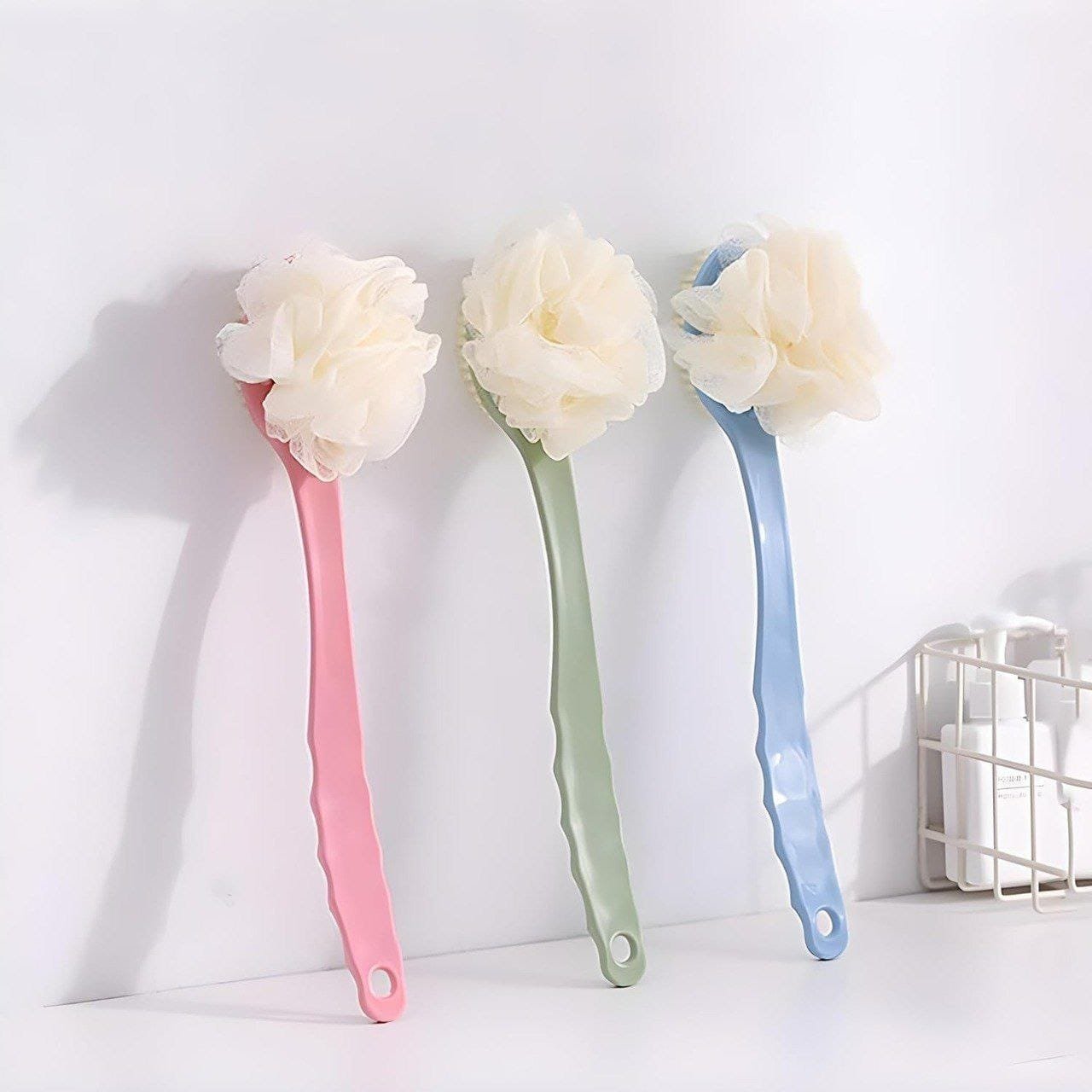 Bath back brush with a loofah sponge